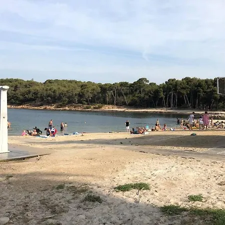 Petit Paradis A Mandrier 1 A 4 Mn Clim Parking Wifi Apartment