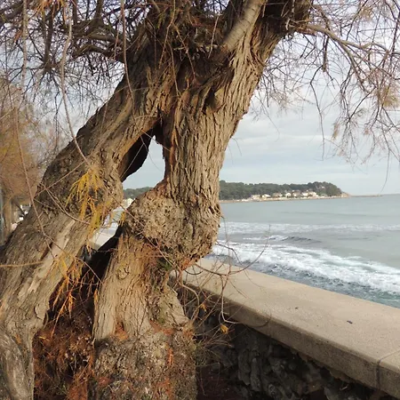 Petit Paradis A Mandrier 1 A 4 Mn Clim Parking Wifi *
